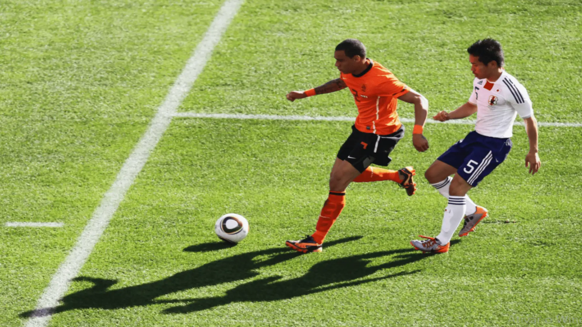 Holanda
